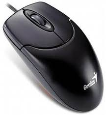 Mouse Genius NetScroll 120 PS/2 Bulk